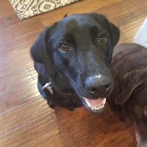 Meet your Posher, Mary beth